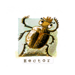 04 Hector
