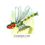 23 Josephine